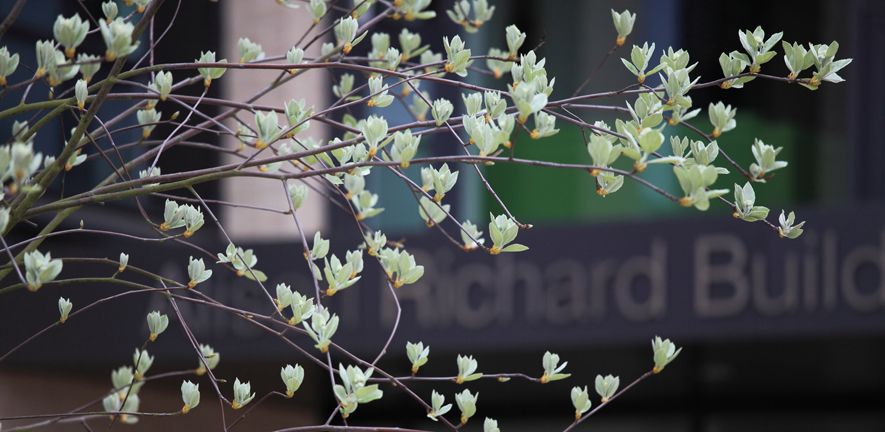 My Banner 2